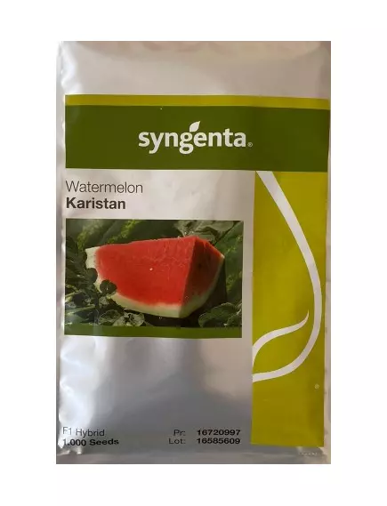 Арбуз Каристан 1000 шт SYNGENTA