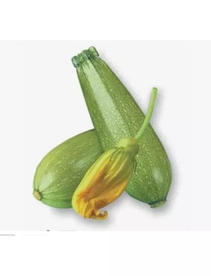 Кабачок Софт Тейст F1 10 шт Сады Азии