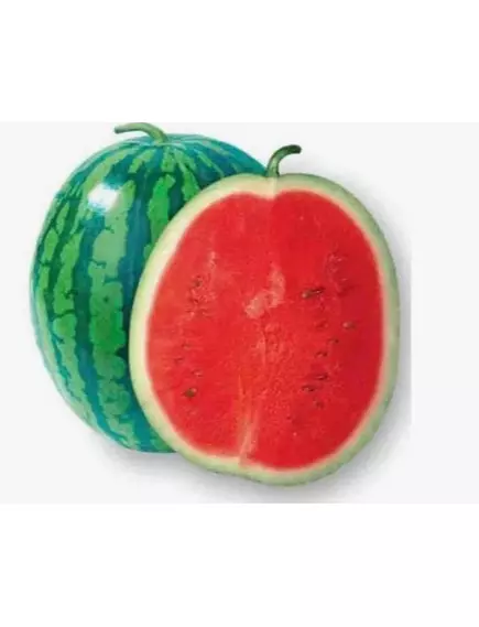 Арбуз Мини Блю F1 5 шт Сады Азии