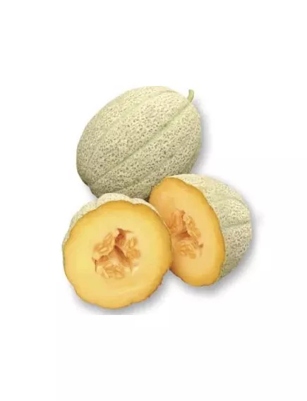 Дыня Гордес F1 5 шт Сады Азии