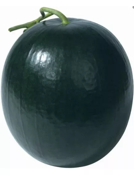 Арбуз Блэк Хироу F1 5 шт Сады Азии