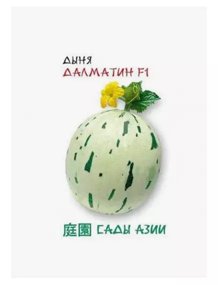 Дыня Далматин F1  5 шт Сады Азии