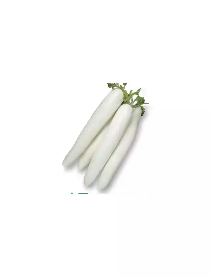 Дайкон Оккура  F1 10 шт Сады Азии