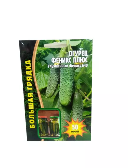 Огурец Феникс Плюс 50 шт РЕДКИЕ СЕМЕНА