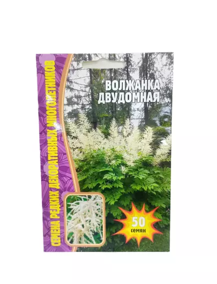 Волжанка двудомная 50 шт РЕДКИЕ СЕМЕНА