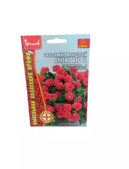 Бальзамин Уоллера ATHENA RED F1 5 шт РЕДКИЕ СЕМЕНА