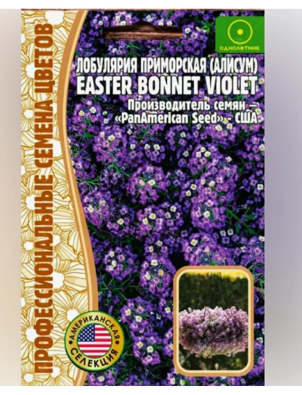 Алиссум (лобулярия) EASTER BONNET VIOLET 20 шт. РЕДКИЕ СЕМЕНА