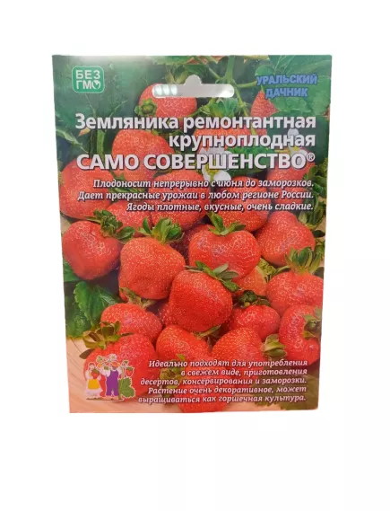 Земляника Само Совершенство ремонтантная 10 шт УРАЛЬСКИЙ ДАЧНИК