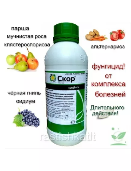 Скор КЭ Фунгицид 1 л (Фасовка)