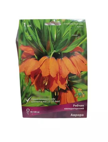 Рябчик императорский Аврора ПОИСК