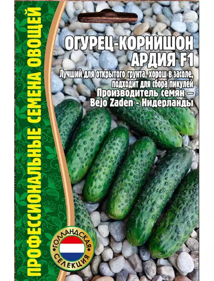 Огурец Ардия F1  корнишон 7 шт РЕДКИЕ СЕМЕНА
