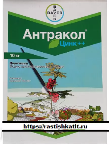 Антракол фунгицид