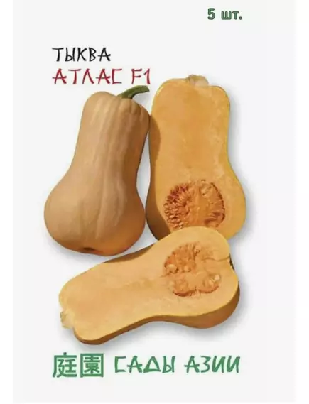 Тыква Атлас F1 5 шт Сады Азии