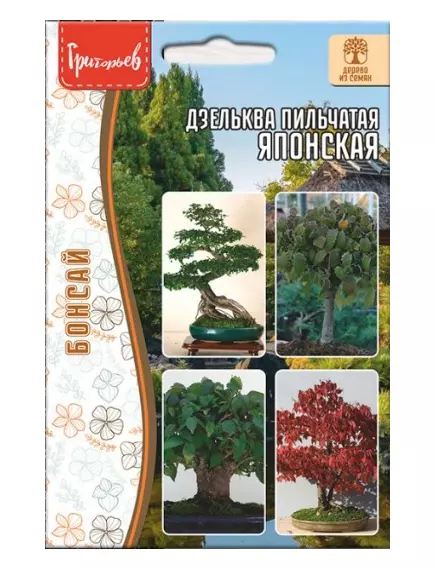 Дзельква японская Пильчатая 10 шт РЕДКИЕ СЕМЕНА