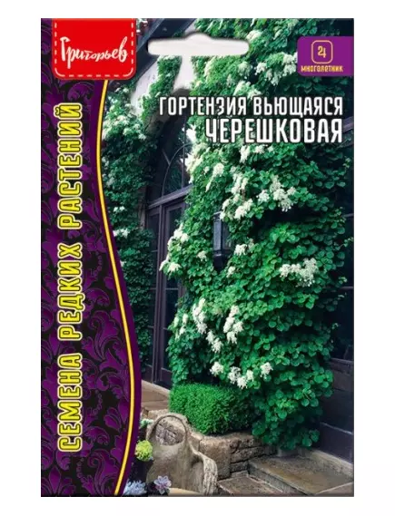 Гортензия Черешковая вьющаяся 20 шт РЕДКИЕ СЕМЕНА