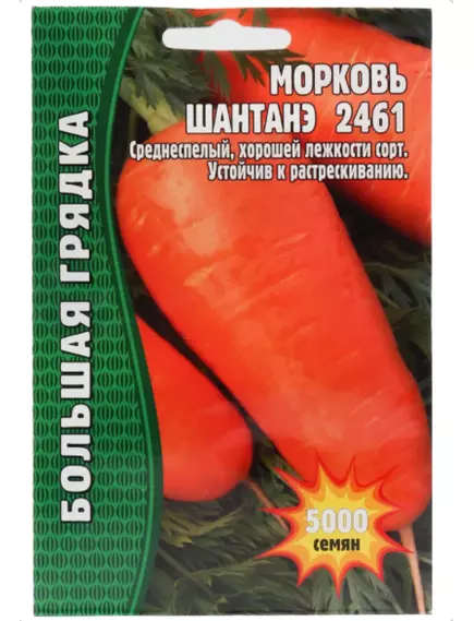 Морковь Шантане 2461 5000 шт РЕДКИЕ СЕМЕНА