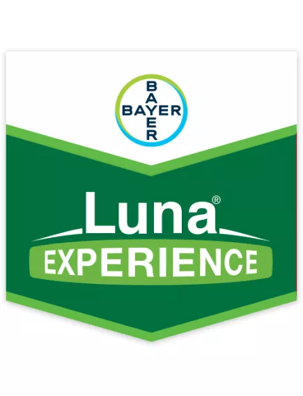 Луна Экспириенс 1 л