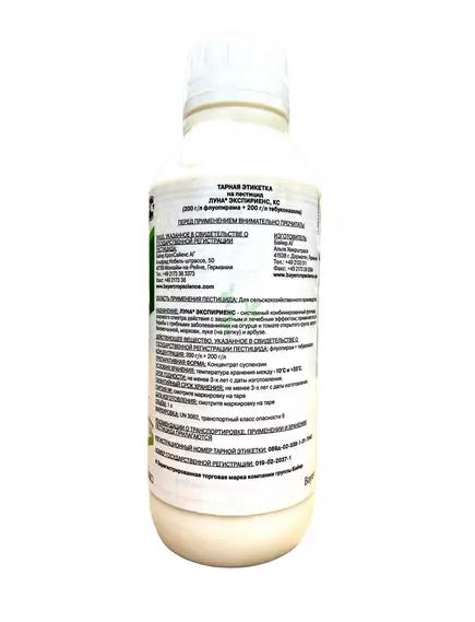 Луна Экспириенс