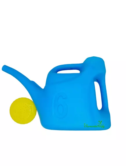 Лейка с рассеивателем 6 л