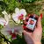 GROW MORE PREMIUM ORCHID 30-10-10 подкормка для орхидей 25 г